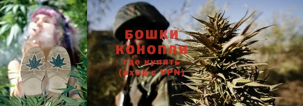 герыч Мегион