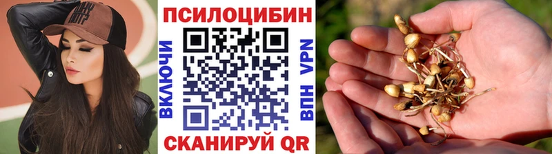 кракен рабочий сайт Голицыно Галлюциногенные грибы ЛСД где найти